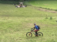 Verfahra Ri Eschenbach